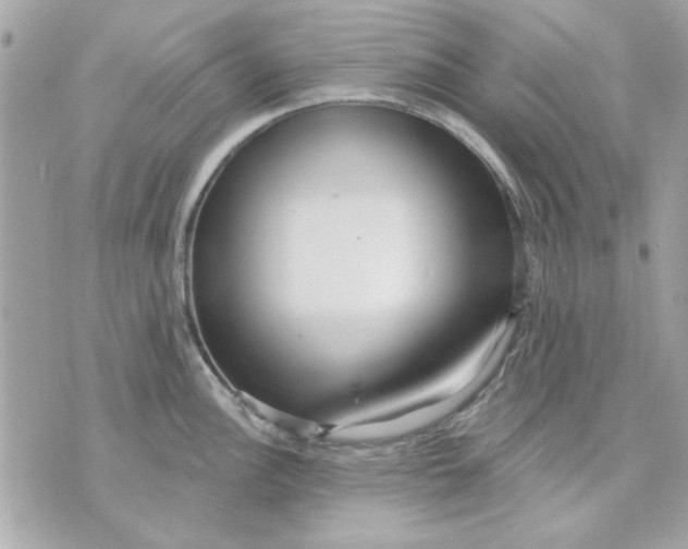 X0000070881148200607071941