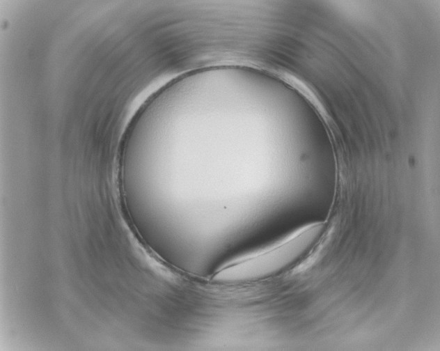 X0000070881149200607071941