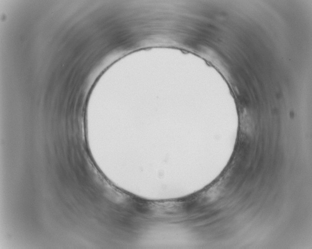 X0000070881150200607071941