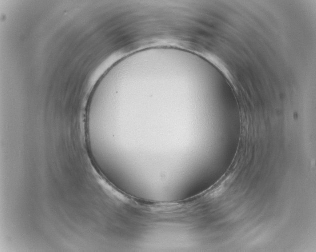 X0000070881151200607071941