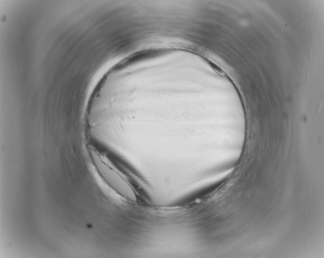 X0000070881152200607071941