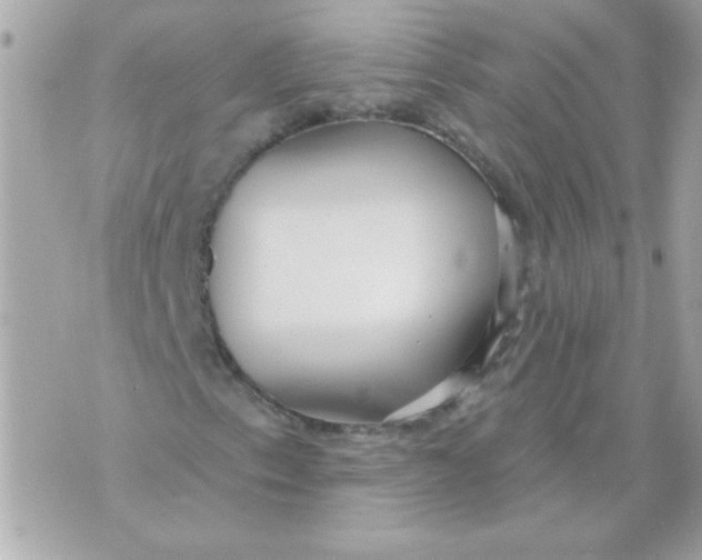 X0000070881153200607071941