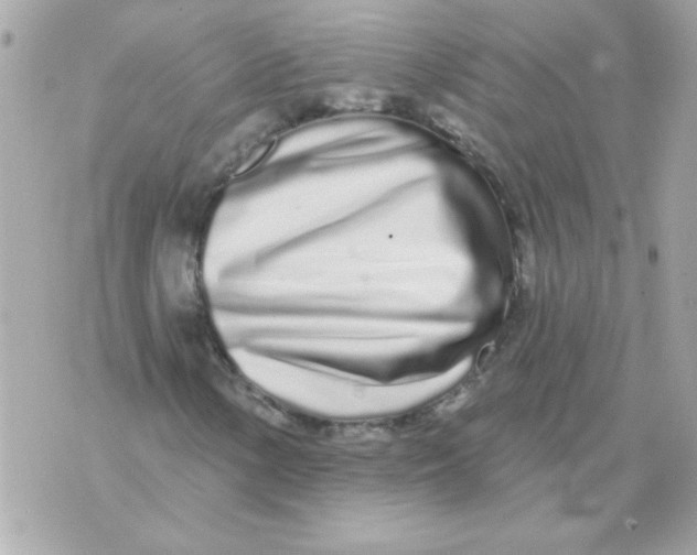 X0000070881154200607071941