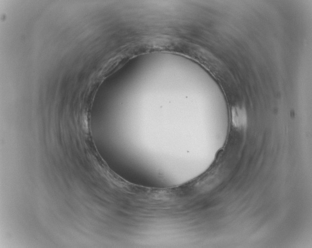 X0000070881155200607071941