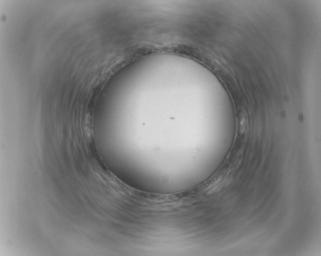 X0000070881156200607071941