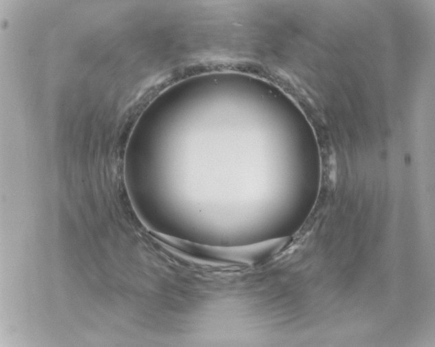 X0000070881157200607071941