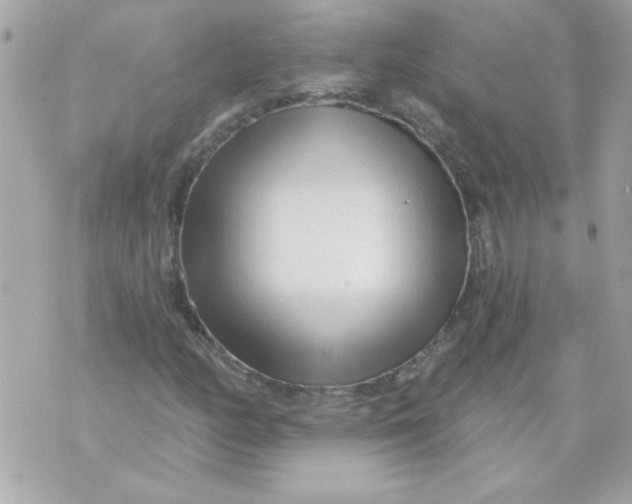 X0000070881158200607071940