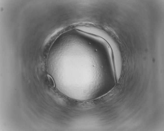 X0000070881159200607071940