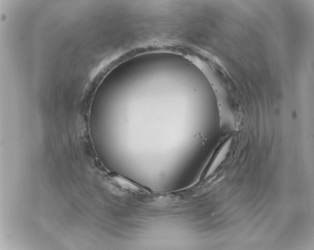 X0000070881160200607071940