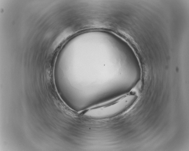 X0000070881163200607071940