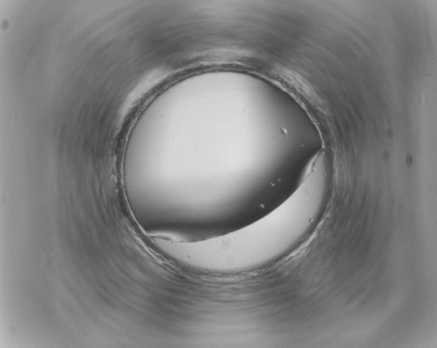 X0000070881164200607071940