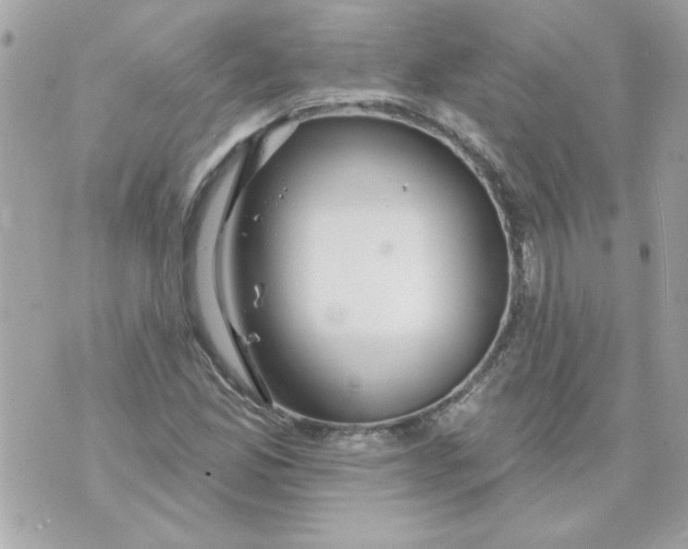 X0000070881165200607071940