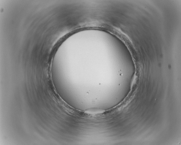 X0000070881166200607071940