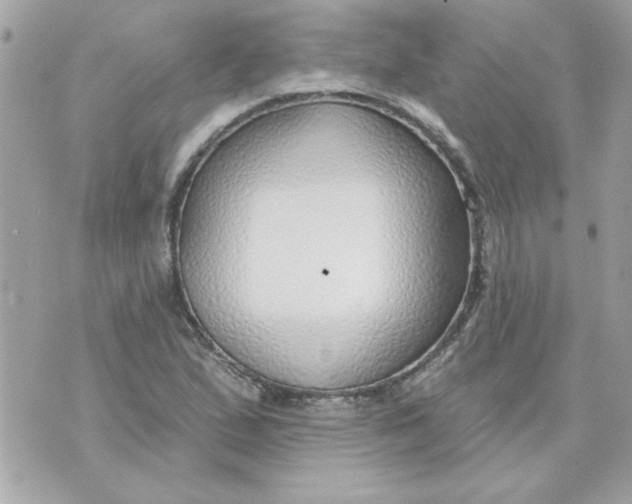 X0000070881167200607071940