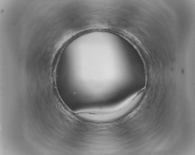 X0000070881168200607071940