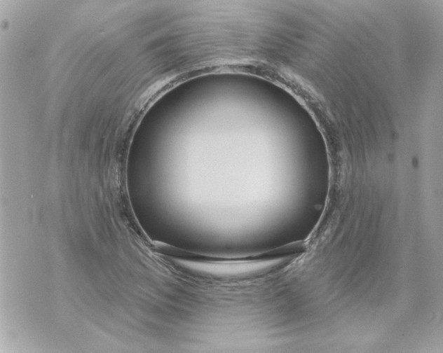 X0000070881169200607071940