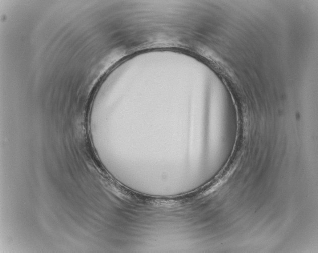 X0000070881170200607071940