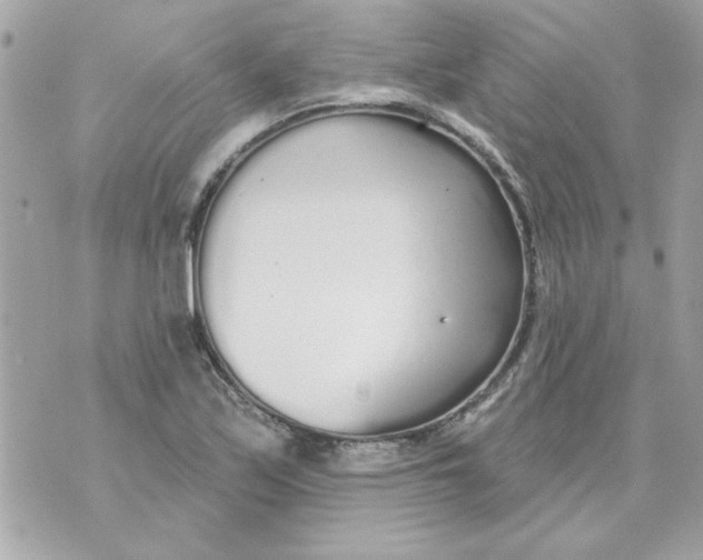 X0000070881171200607071940