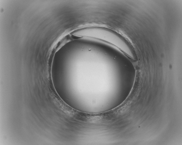 X0000070881173200607071940