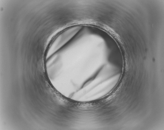 X0000070881174200607071940