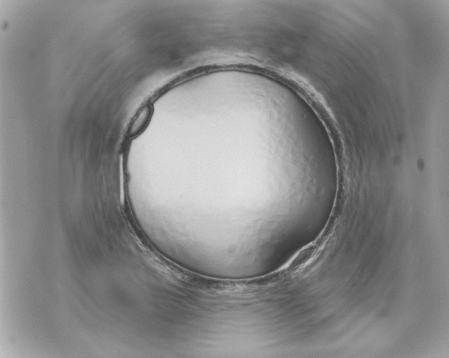 X0000070881175200607071940