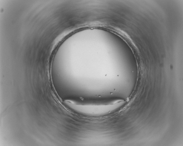 X0000070881176200607071940