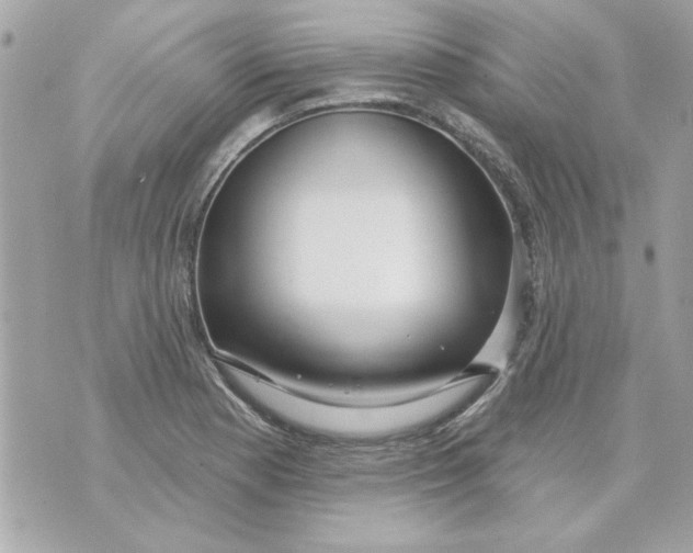 X0000070881177200607071940