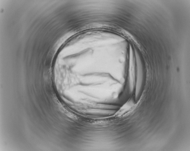 X0000070881178200607071940