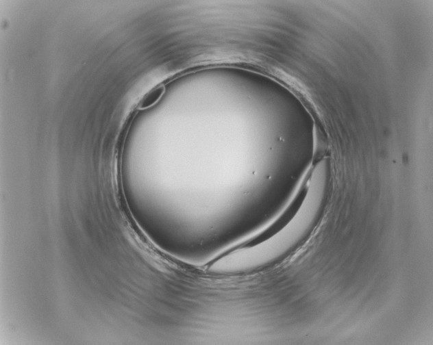 X0000070881179200607071940