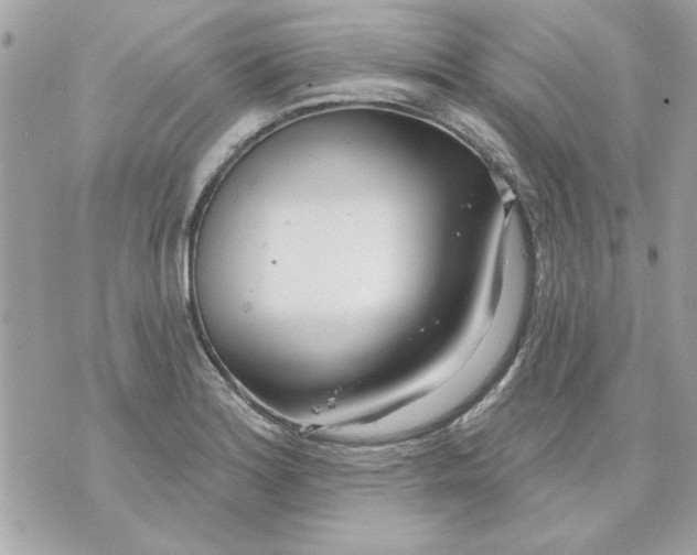 X0000070881180200607071940