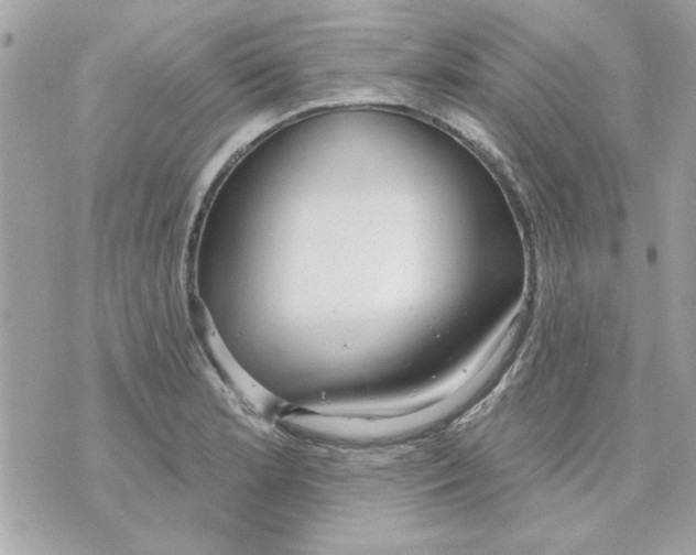 X0000070881181200607071940