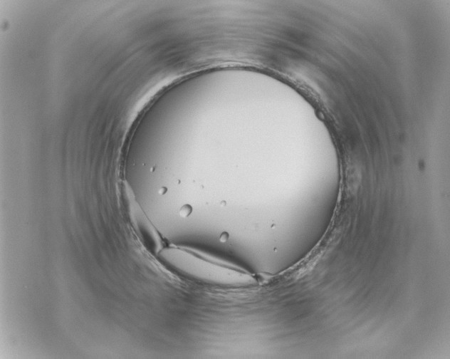 X0000070881182200607071940