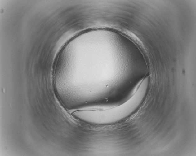 X0000070881183200607071940