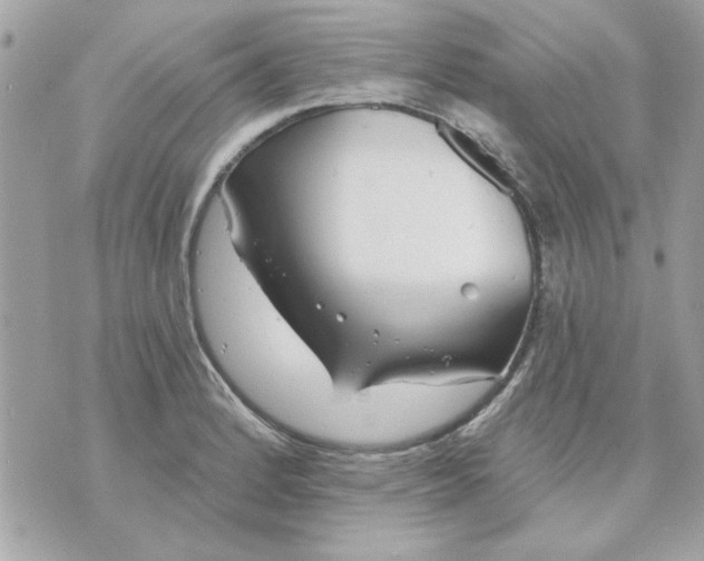 X0000070881184200607071940