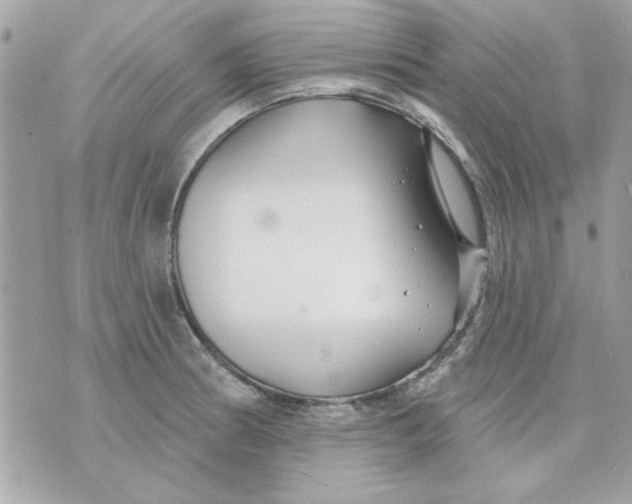 X0000070881186200607071940