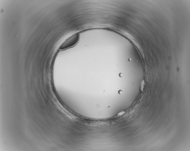 X0000070881187200607071940