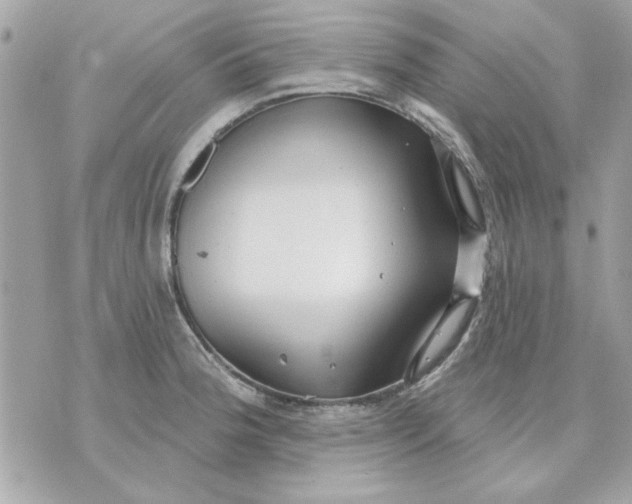 X0000070881188200607071940