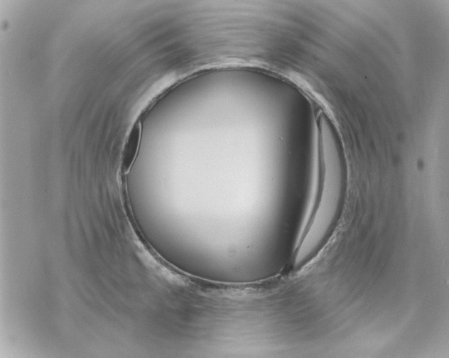 X0000070881189200607071940