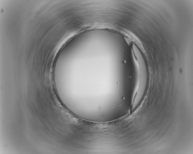 X0000070881190200607071940