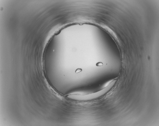 X0000070881191200607071940