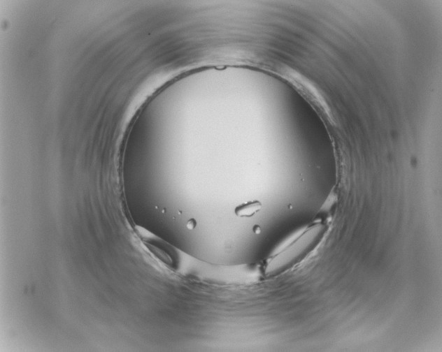 X0000070881192200607071940