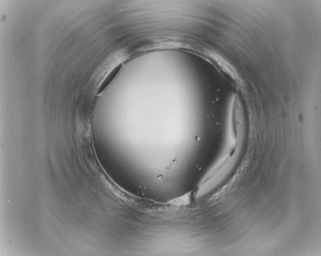 X0000070881193200607071940