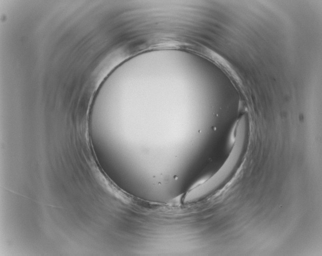 X0000070881194200607071940