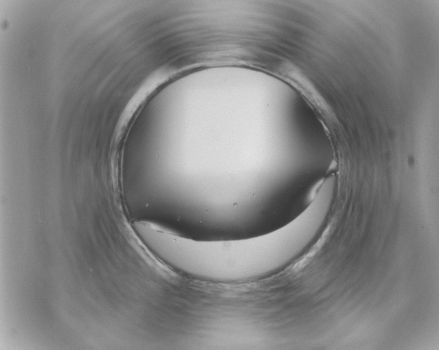 X0000070881196200607071940