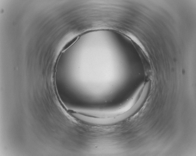 X0000070881197200607071940