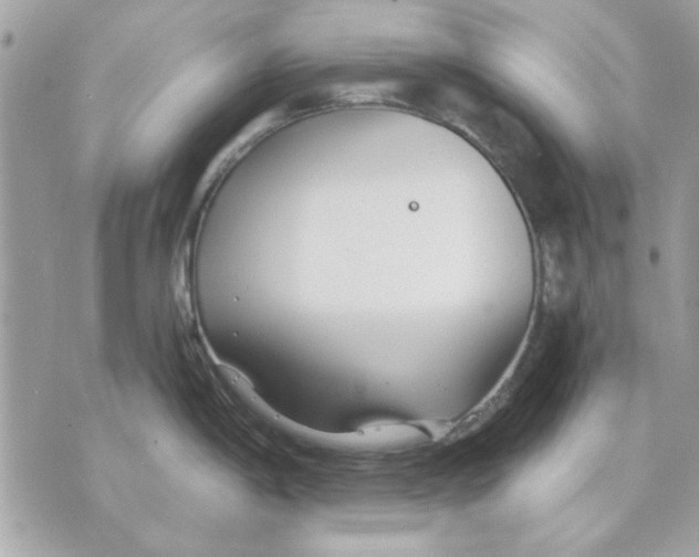 X0000070881198200607071940