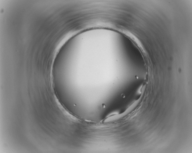 X0000070881199200607071940