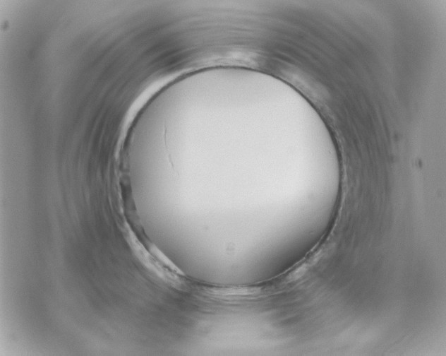 X0000070881200200607071940