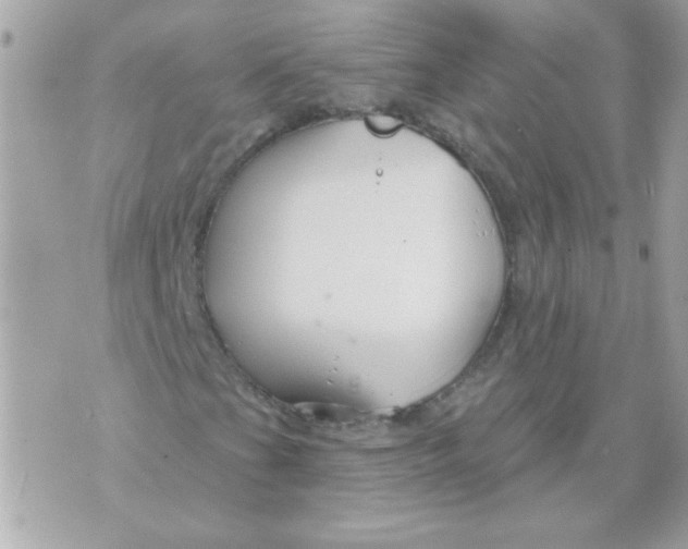 X0000070881201200607071939