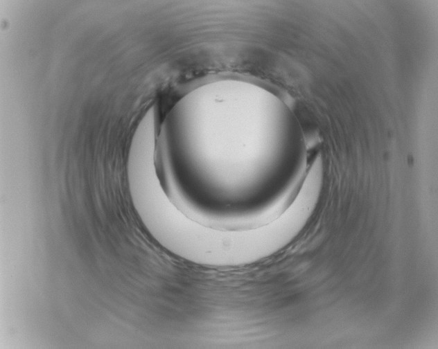 X0000070881202200607071939